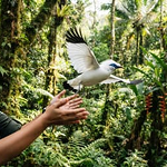 wildlife 3